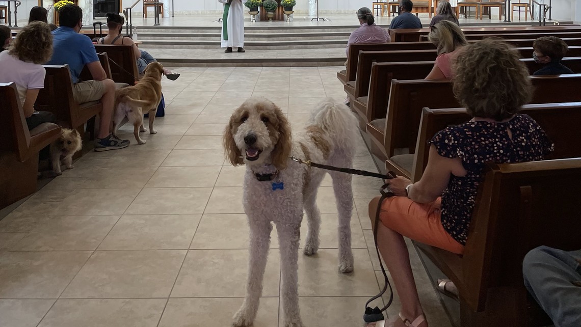 Animal Blessing photo 2021