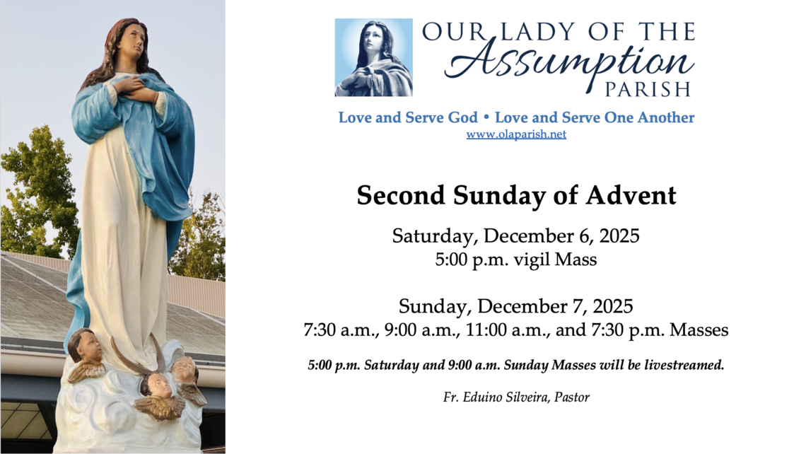 Screenshot 2025 12 01 At 12.29.07 Pm