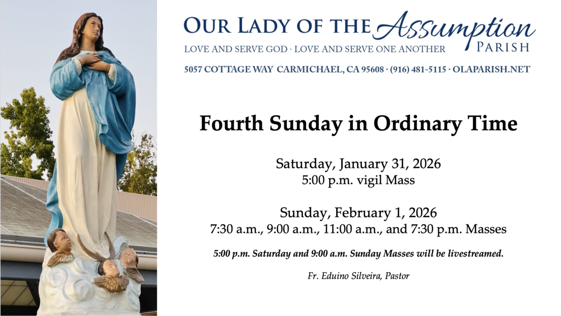 Screenshot 2026 01 26 At 7.10.14 Pm